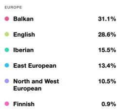 Résultats sur l'ethnicité à partir